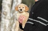 ADULTE ET CHIEN 063